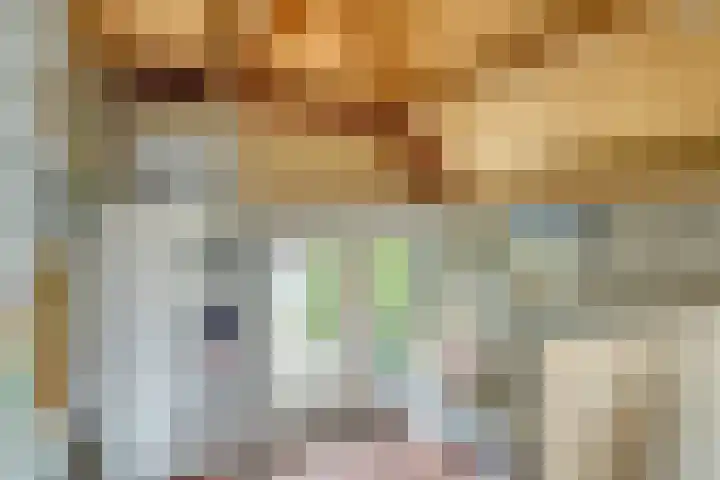 Watertje 29 Zoeterwoude thumbnail 17