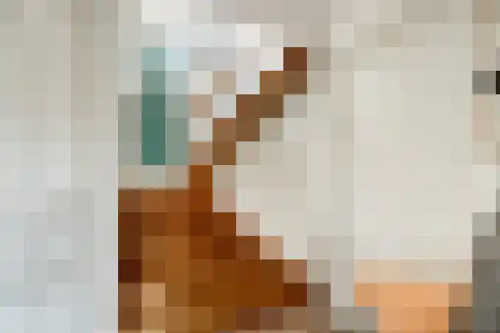 Watertje 29 Zoeterwoude thumbnail 20