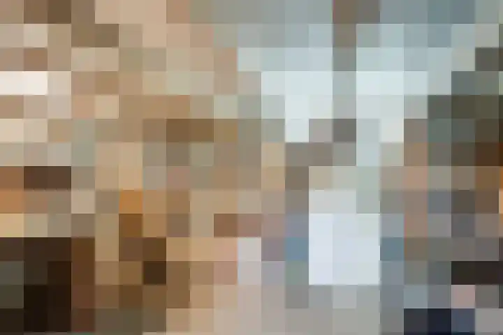 Watertje 29 Zoeterwoude thumbnail 22