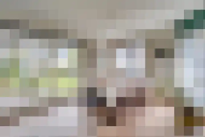 Watertje 29 Zoeterwoude thumbnail 25