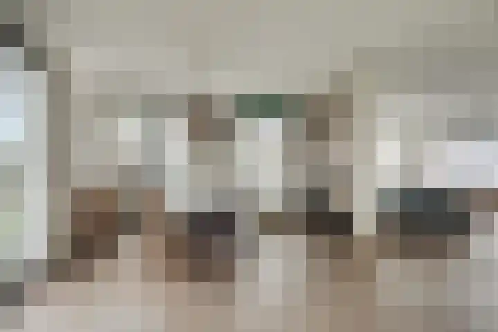 Watertje 29 Zoeterwoude thumbnail 33