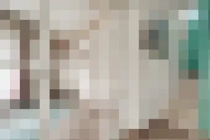 Watertje 29 Zoeterwoude thumbnail 34