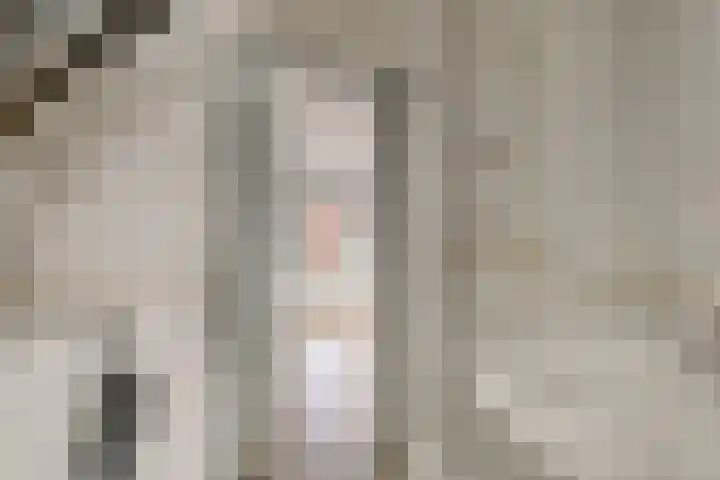Watertje 29 Zoeterwoude thumbnail 39