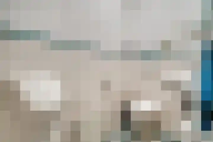 Watertje 29 Zoeterwoude thumbnail 40
