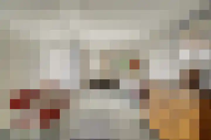 Watertje 29 Zoeterwoude thumbnail 42
