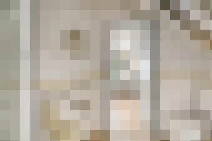 Watertje 29 Zoeterwoude thumbnail 43