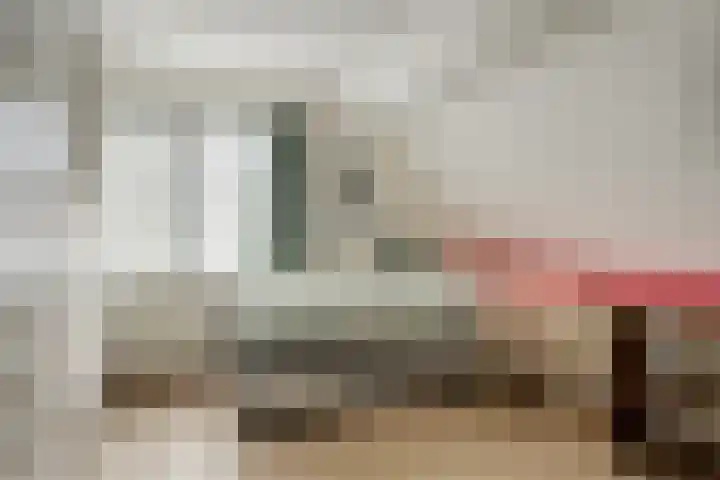 Watertje 29 Zoeterwoude thumbnail 45
