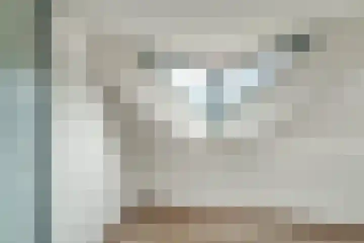 Watertje 29 Zoeterwoude thumbnail 48