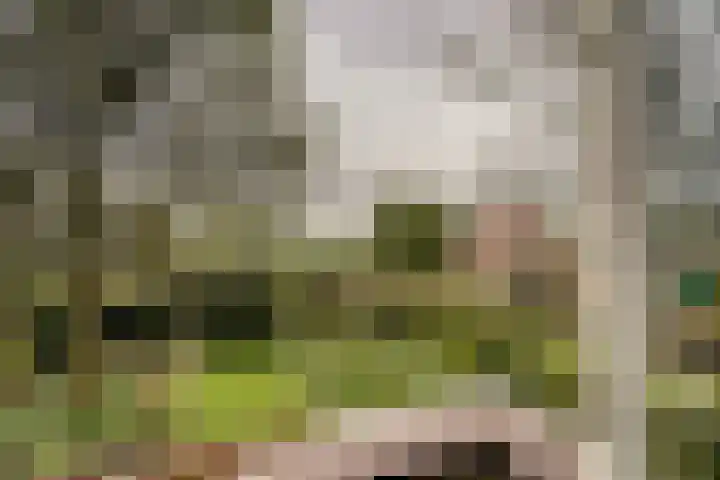 Watertje 29 Zoeterwoude thumbnail 49