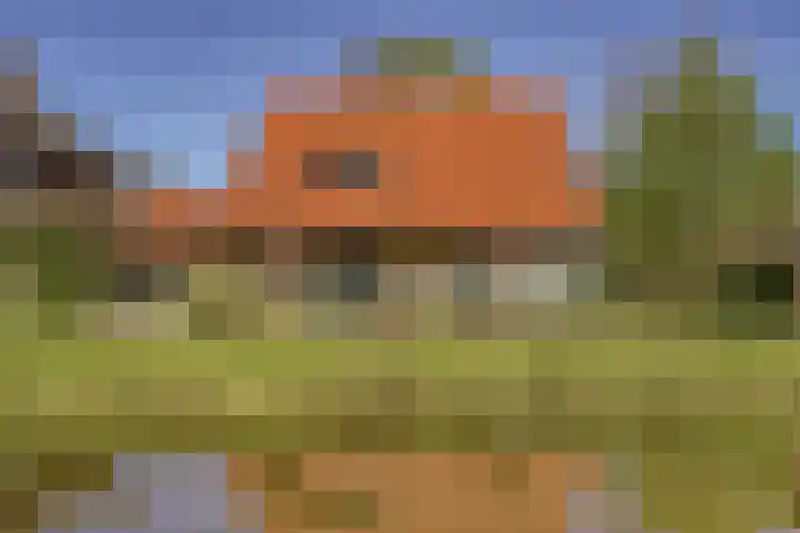 Watertje 29 Zoeterwoude thumbnail 5
