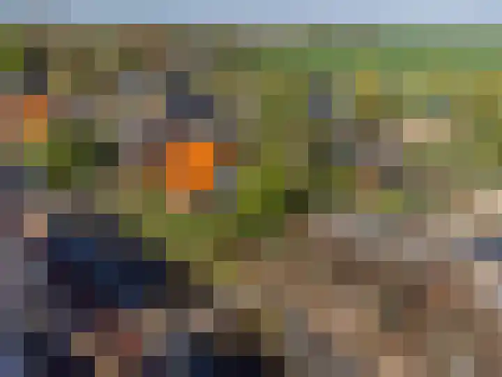 Watertje 29 Zoeterwoude thumbnail 50