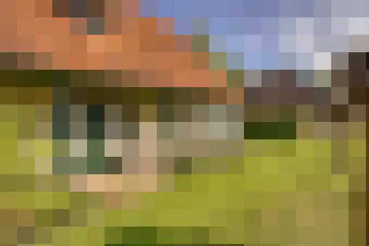 Watertje 29 Zoeterwoude thumbnail 6