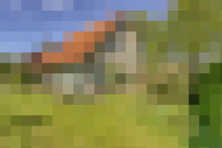 Watertje 29 Zoeterwoude thumbnail 7