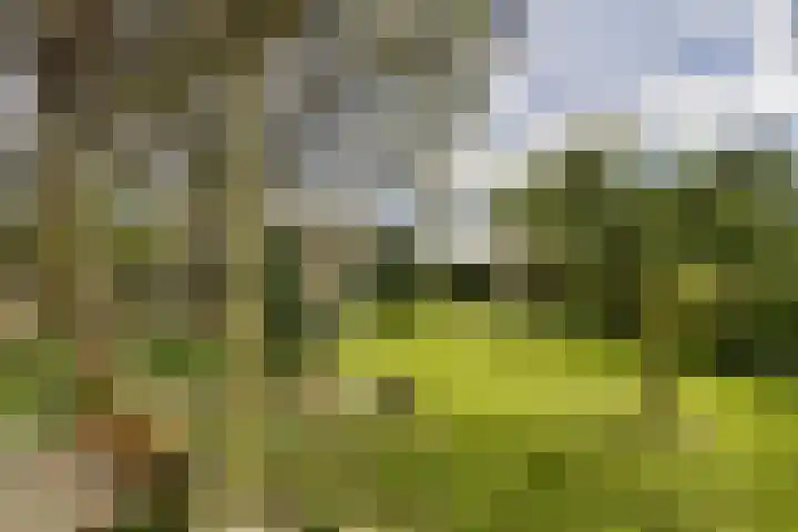 Watertje 29 Zoeterwoude thumbnail 8