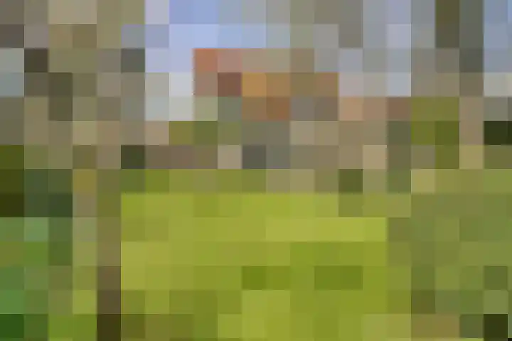 Watertje 29 Zoeterwoude thumbnail 9