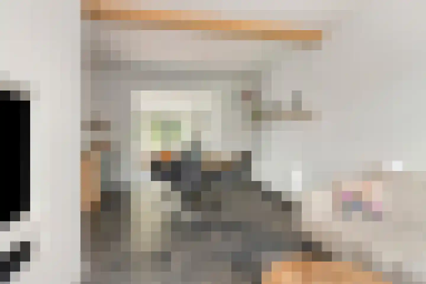 Watertje 5 Zoeterwoude thumbnail 13