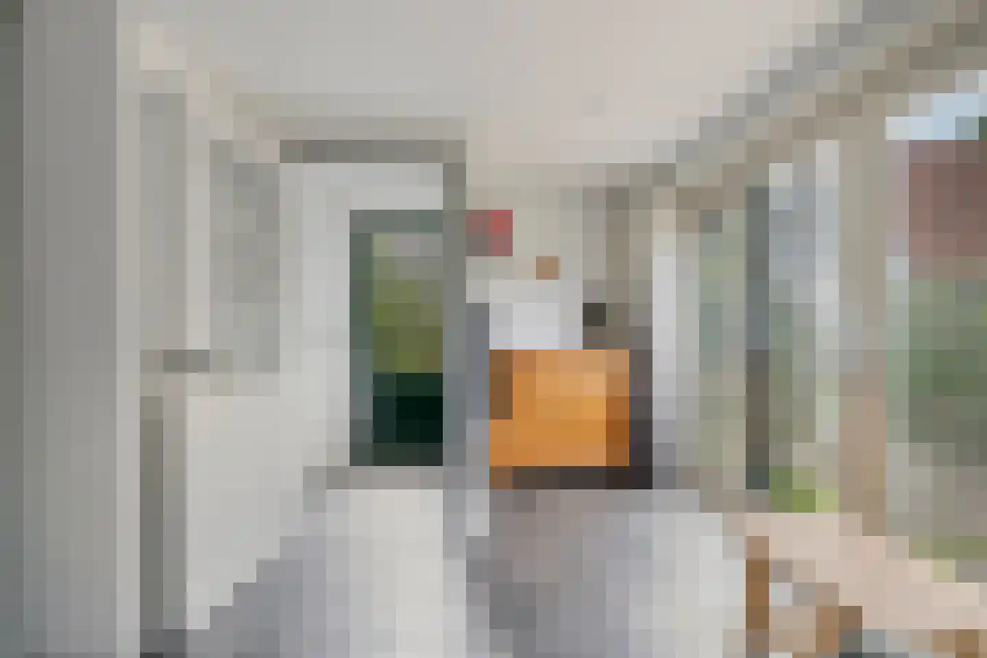 Watertje 5 Zoeterwoude thumbnail 19
