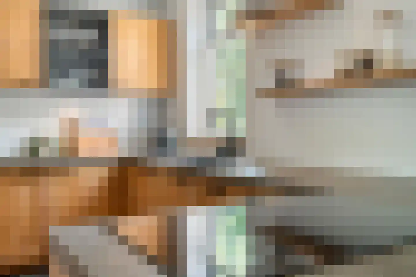 Watertje 5 Zoeterwoude thumbnail 21