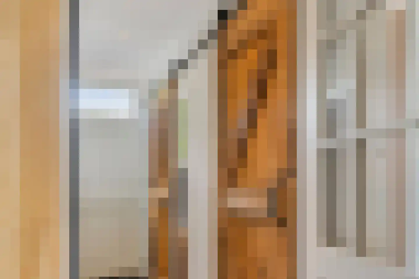 Watertje 5 Zoeterwoude thumbnail 22