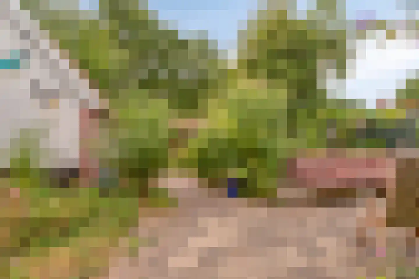 Watertje 5 Zoeterwoude thumbnail 36