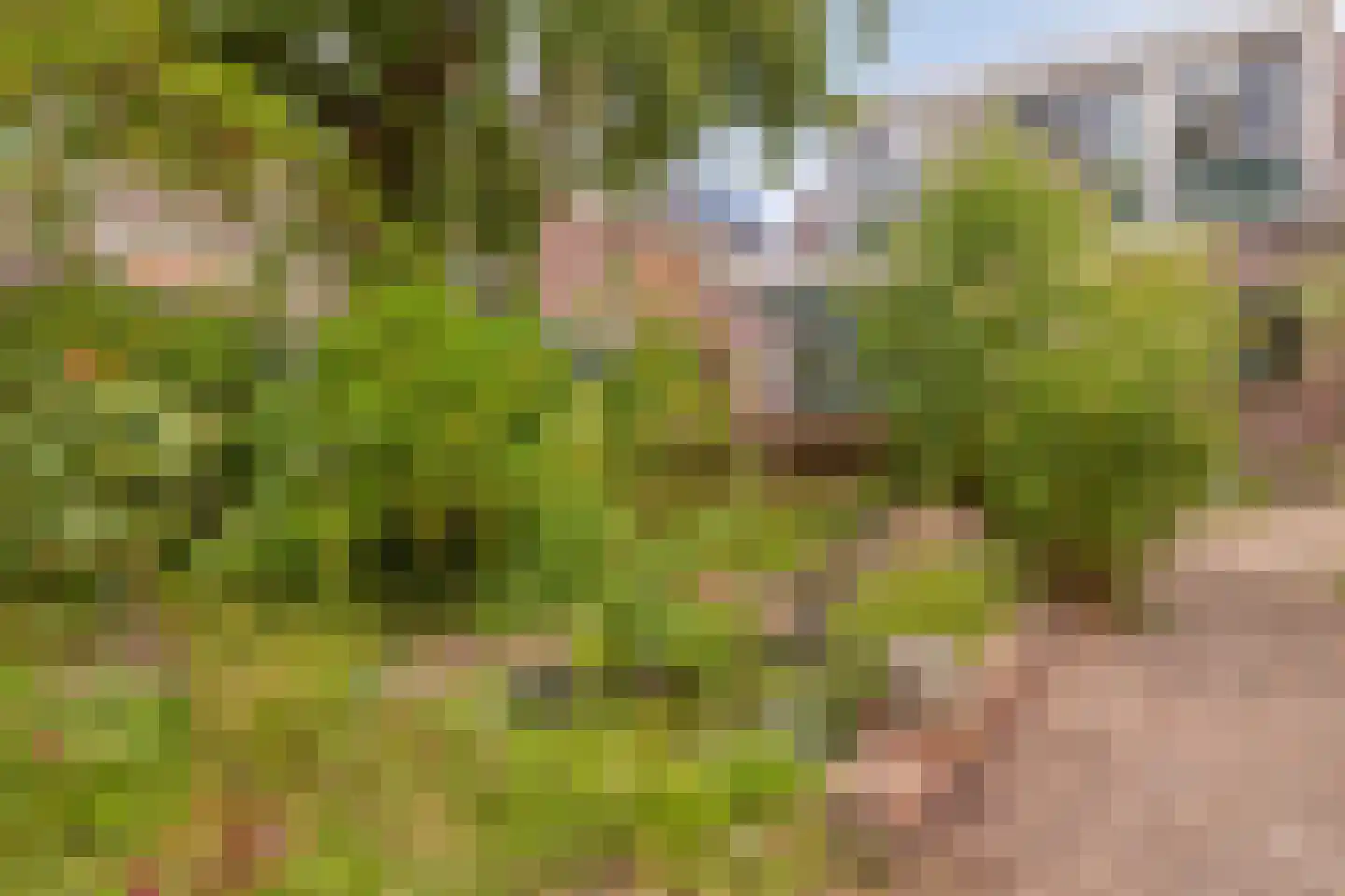 Watertje 5 Zoeterwoude thumbnail 38