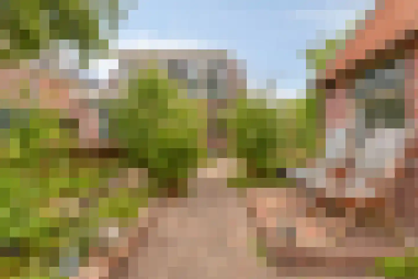 Watertje 5 Zoeterwoude thumbnail 4
