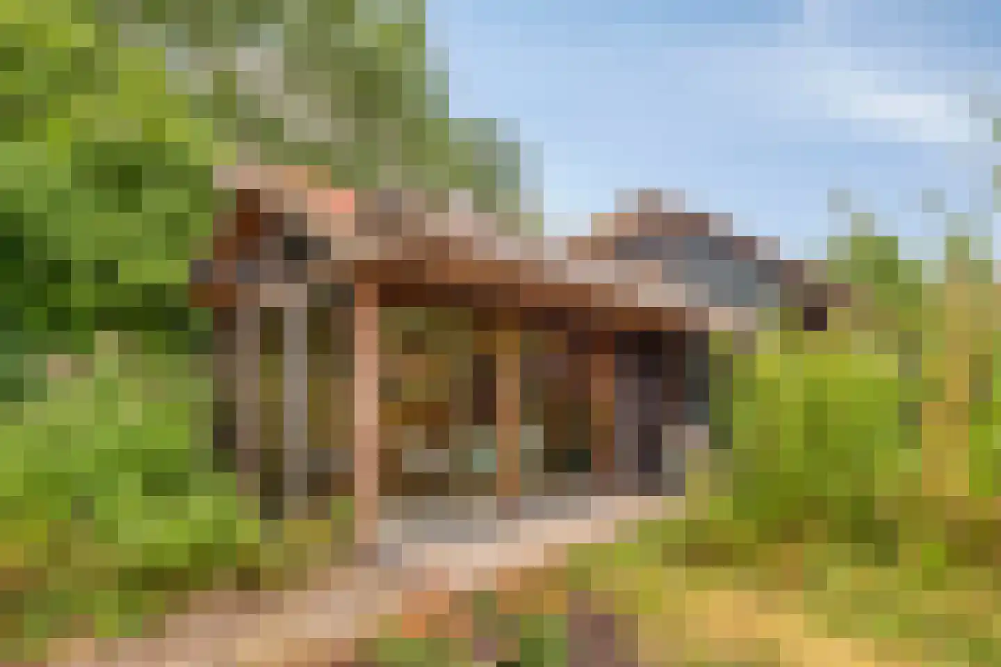 Watertje 5 Zoeterwoude thumbnail 40