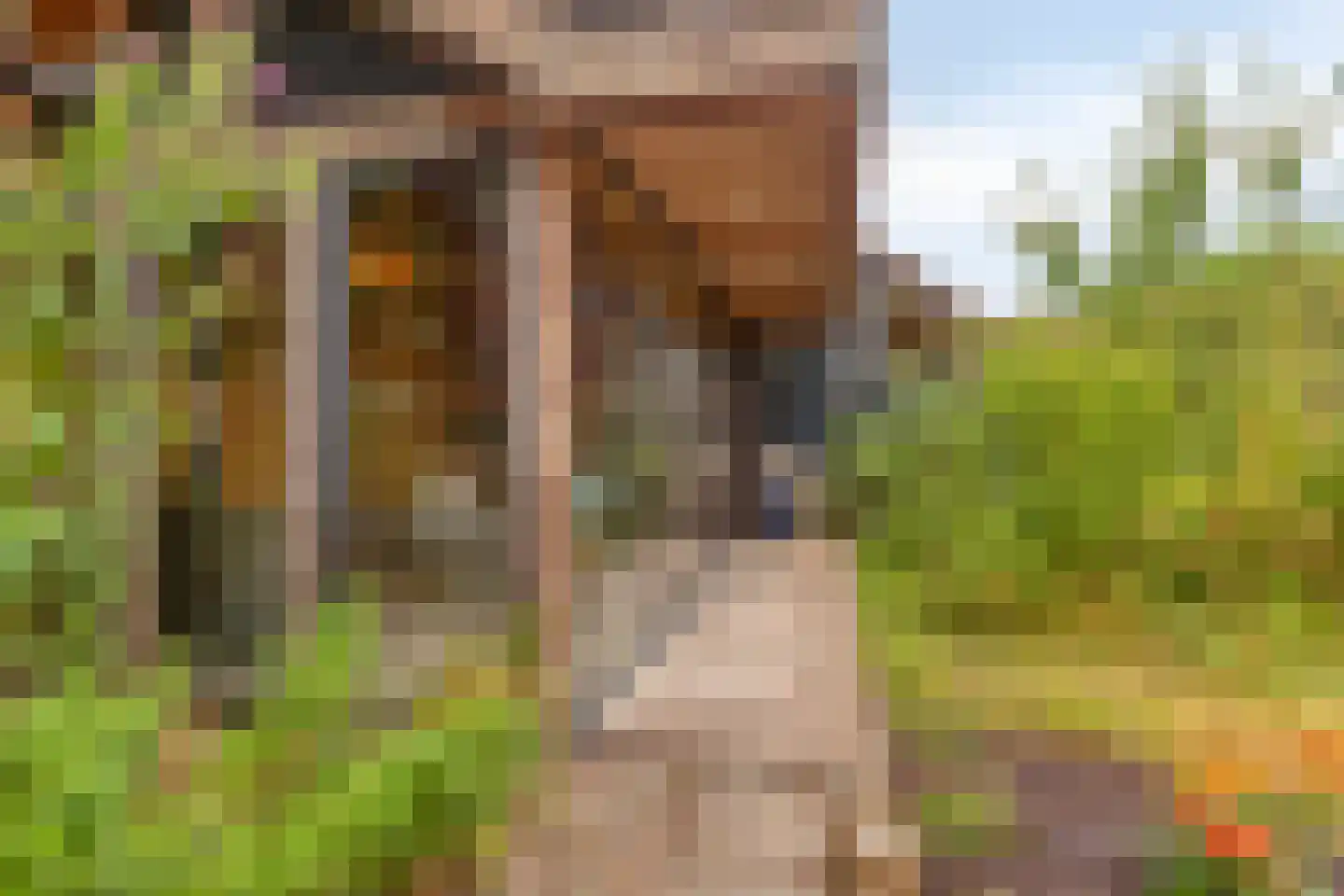 Watertje 5 Zoeterwoude thumbnail 41