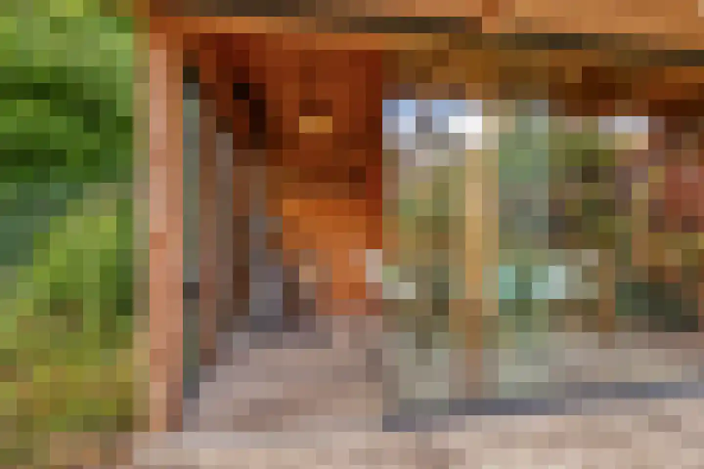 Watertje 5 Zoeterwoude thumbnail 42