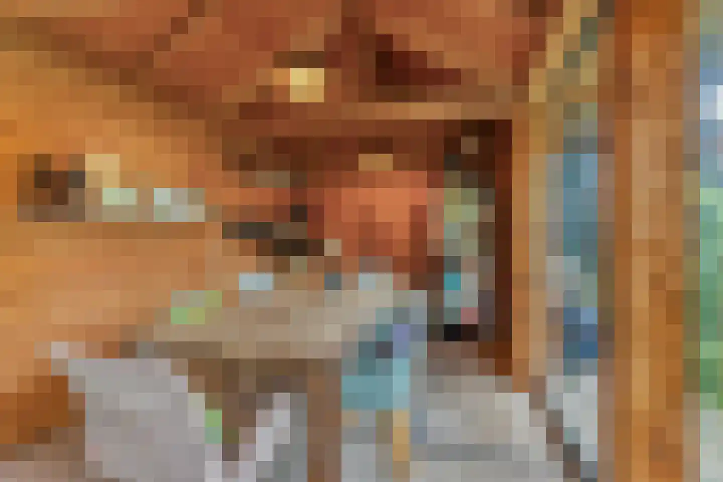 Watertje 5 Zoeterwoude thumbnail 43