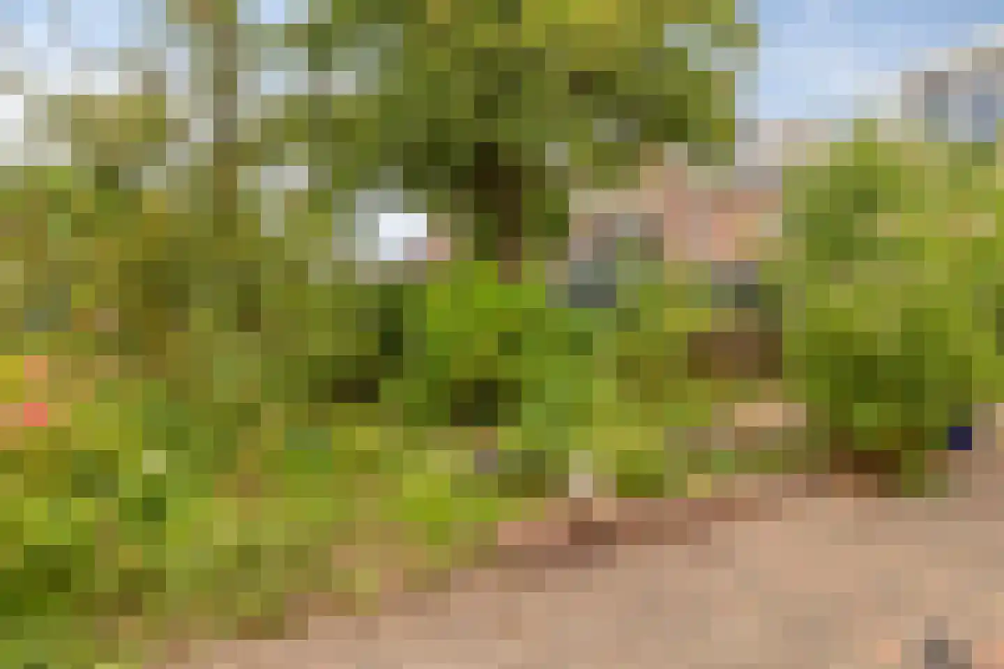 Watertje 5 Zoeterwoude thumbnail 46