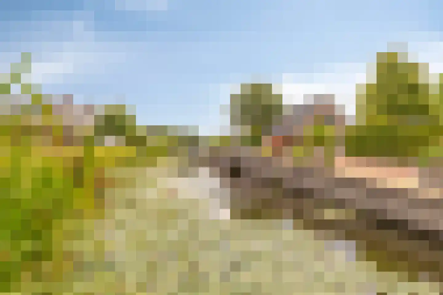 Watertje 5 Zoeterwoude thumbnail 51