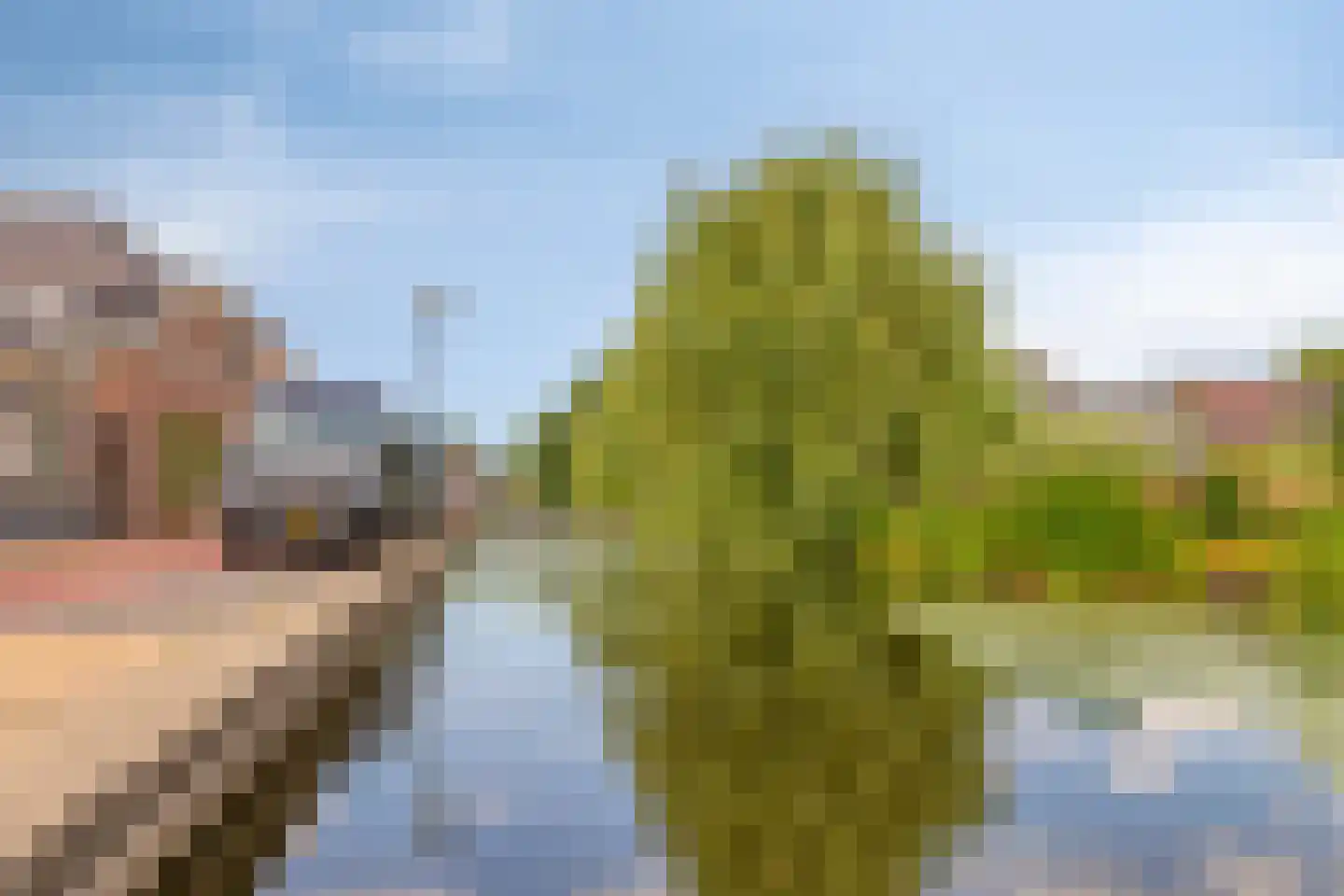Watertje 5 Zoeterwoude thumbnail 53