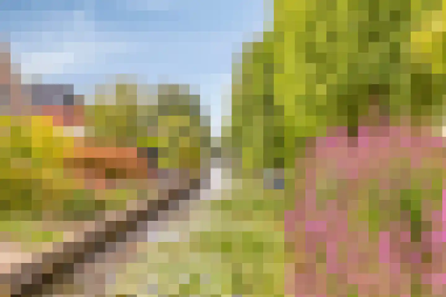 Watertje 5 Zoeterwoude thumbnail 54