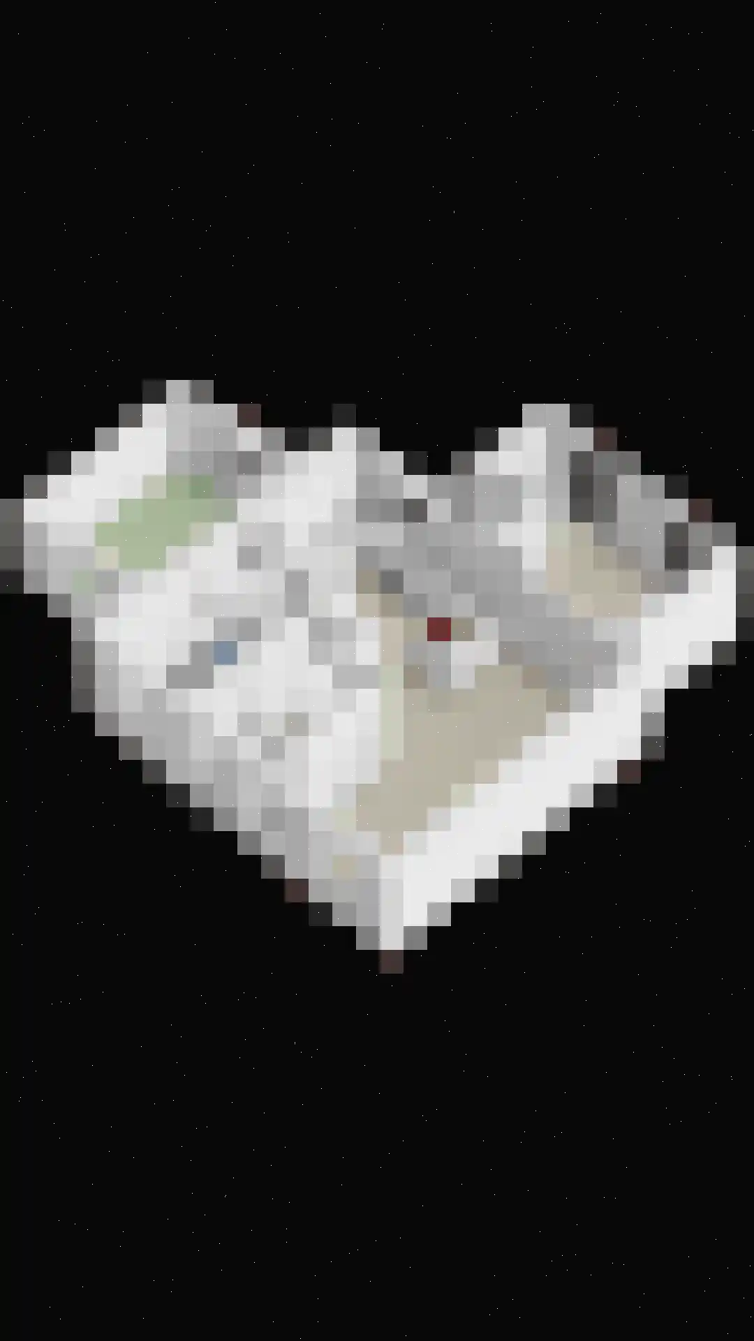 Watertje 5 Zoeterwoude thumbnail 65