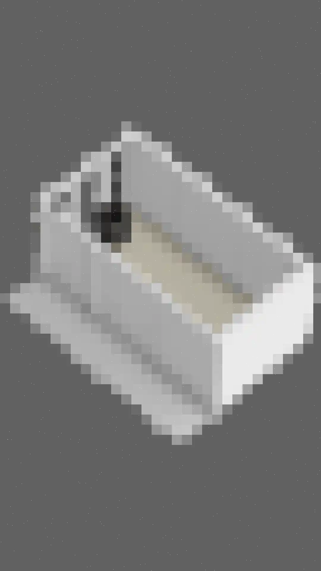 Watertje 5 Zoeterwoude thumbnail 73
