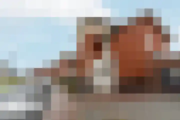 Watertoren 20 Gennep thumbnail 6