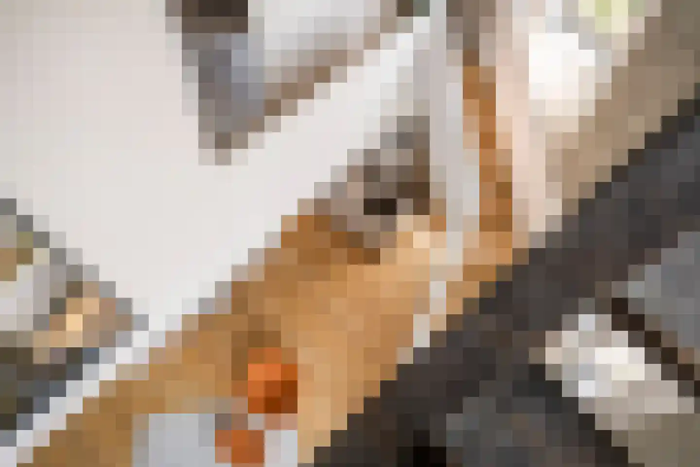 Watertorenerf 1 Leerdam thumbnail 23