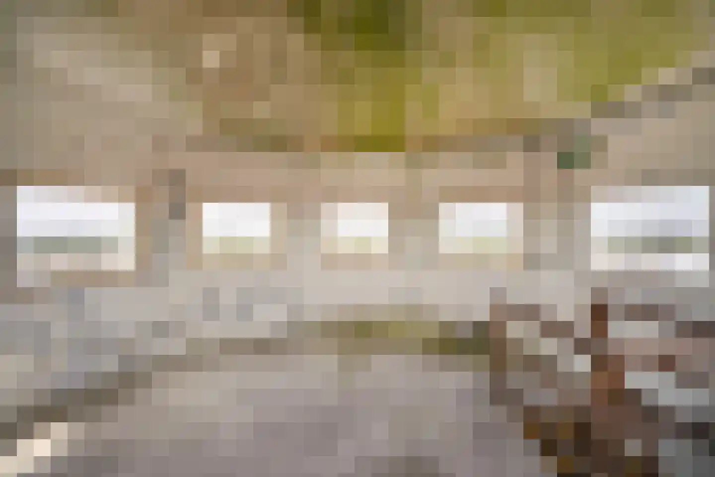 Watertorenerf 1 Leerdam thumbnail 47