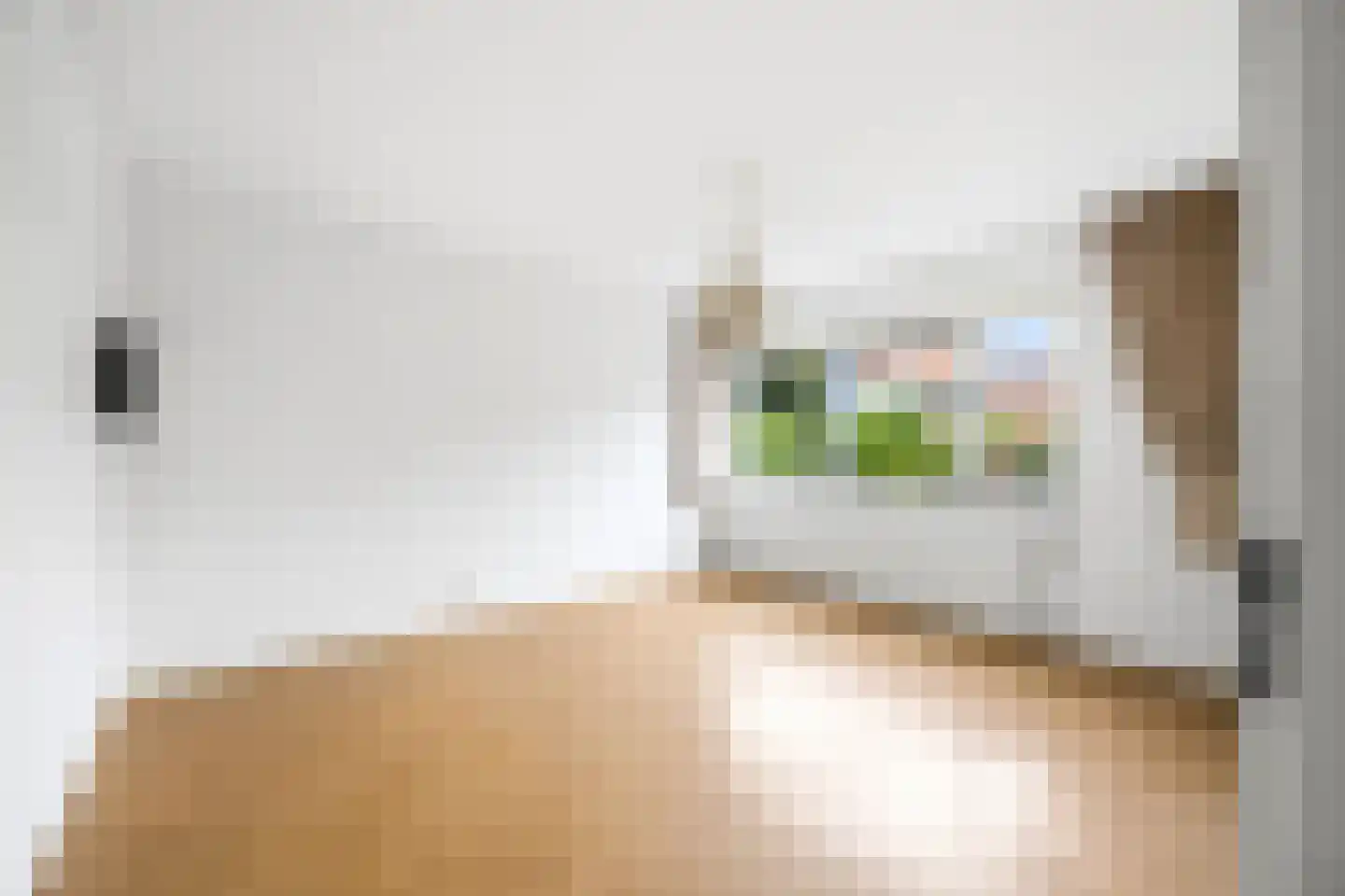 Watertorenlaan 2 Voorburg thumbnail 5