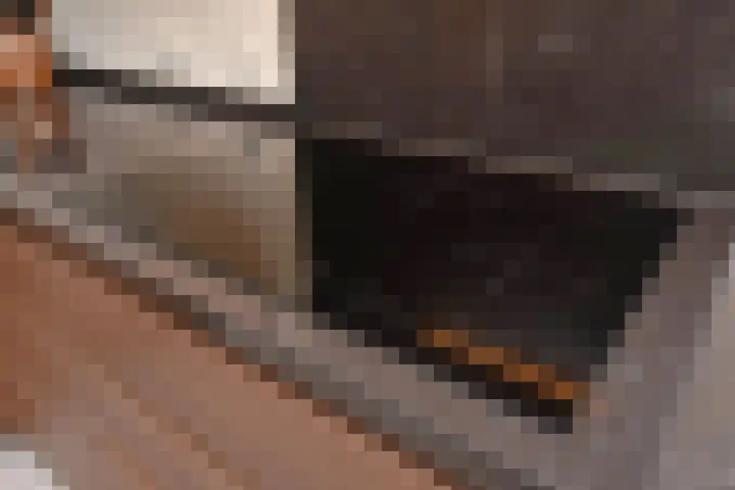 Watertorenlaan 24 Voorburg thumbnail 19