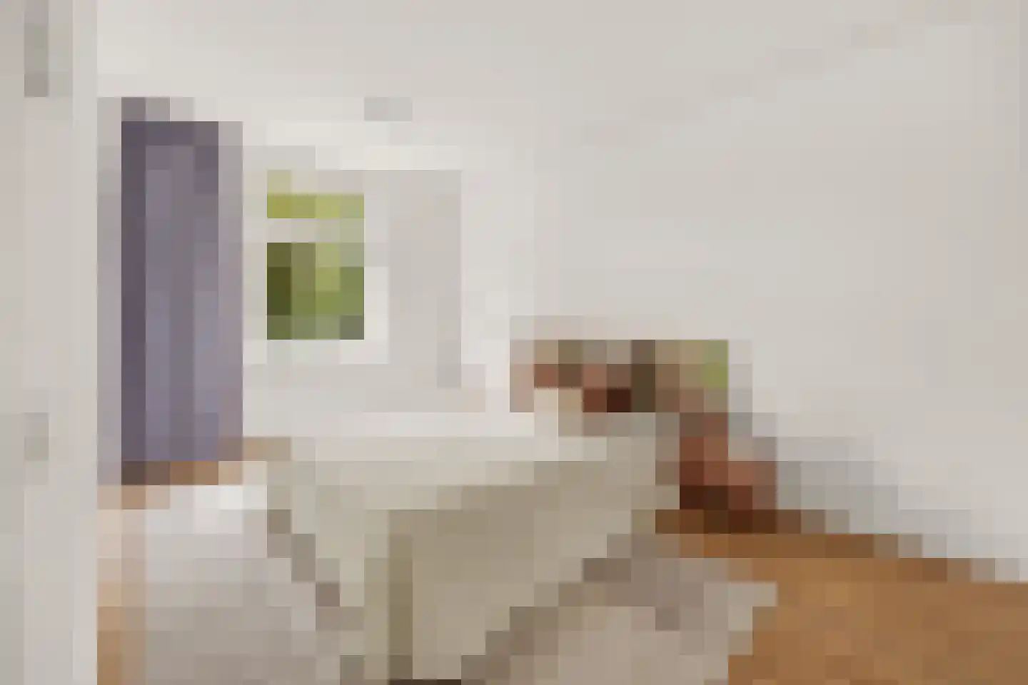 Watertorenlaan 41 Voorburg thumbnail 4