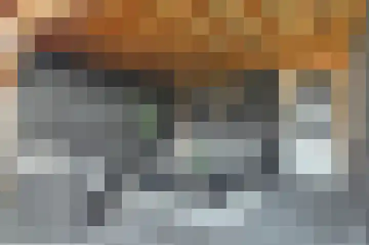 Watertorenlaan 6 Leerdam thumbnail 43