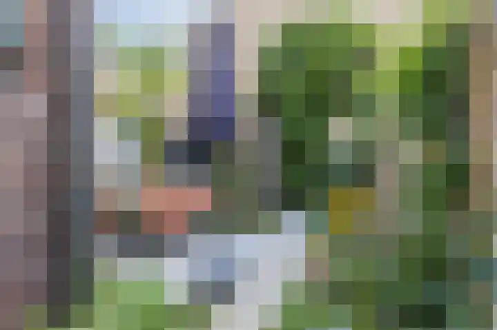 Watertorenplein 11 Tilburg thumbnail 4