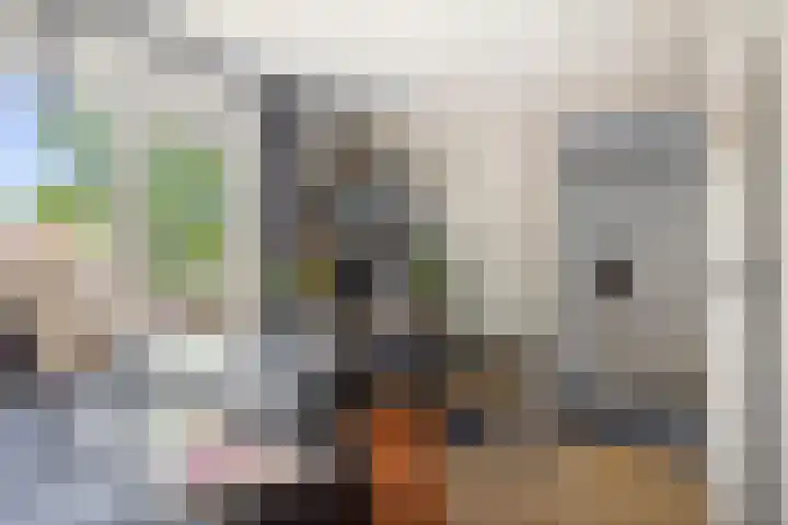 Watertorenstraat 10 Olst thumbnail 15