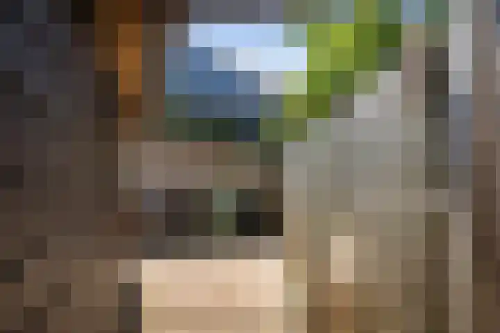 Watertorenstraat 10 Olst thumbnail 21