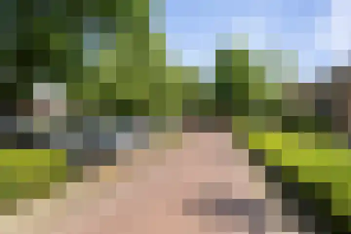 Watertorenstraat 10 Olst thumbnail 32