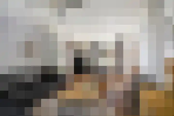 Watertorenstraat 10 Olst thumbnail 4