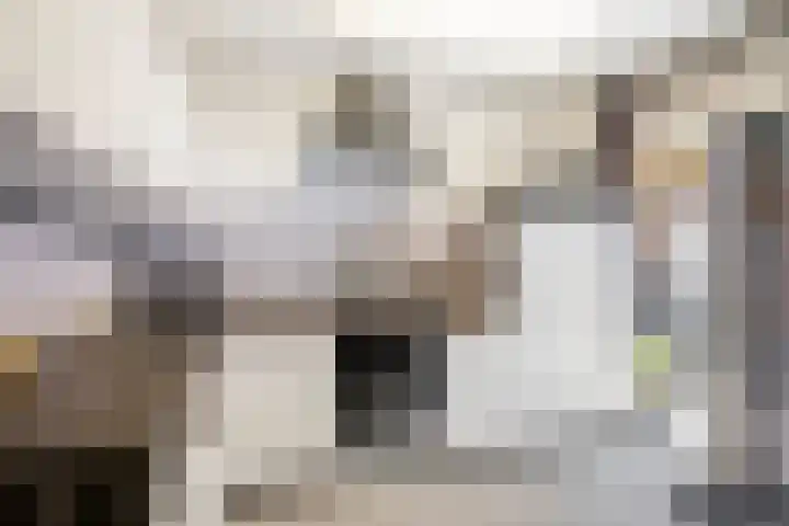 Watertorenstraat 10 Olst thumbnail 7