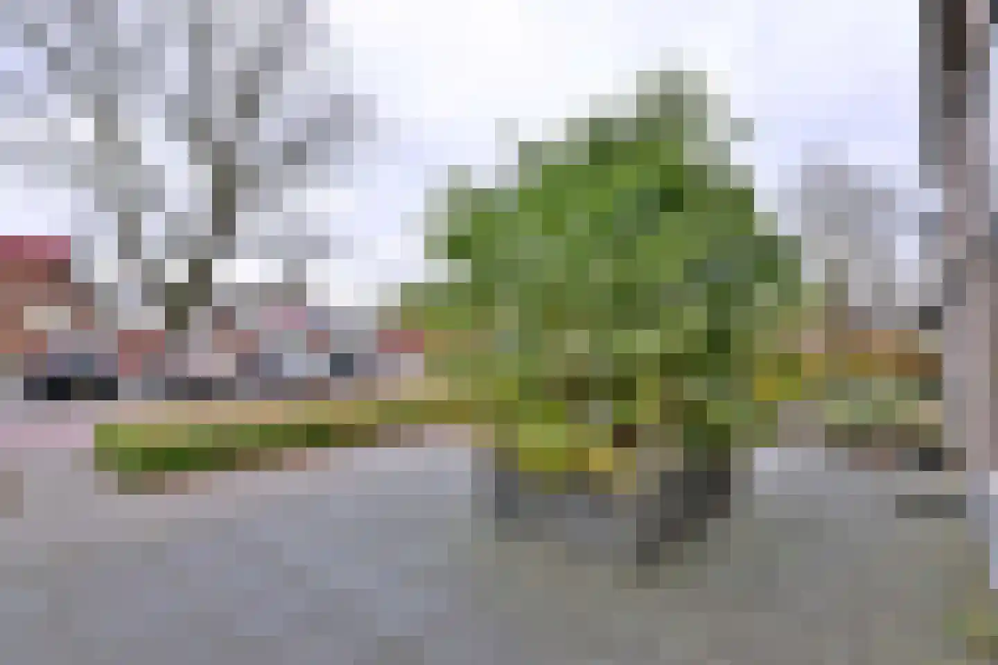 Watertorenstraat 14 Olst thumbnail 32